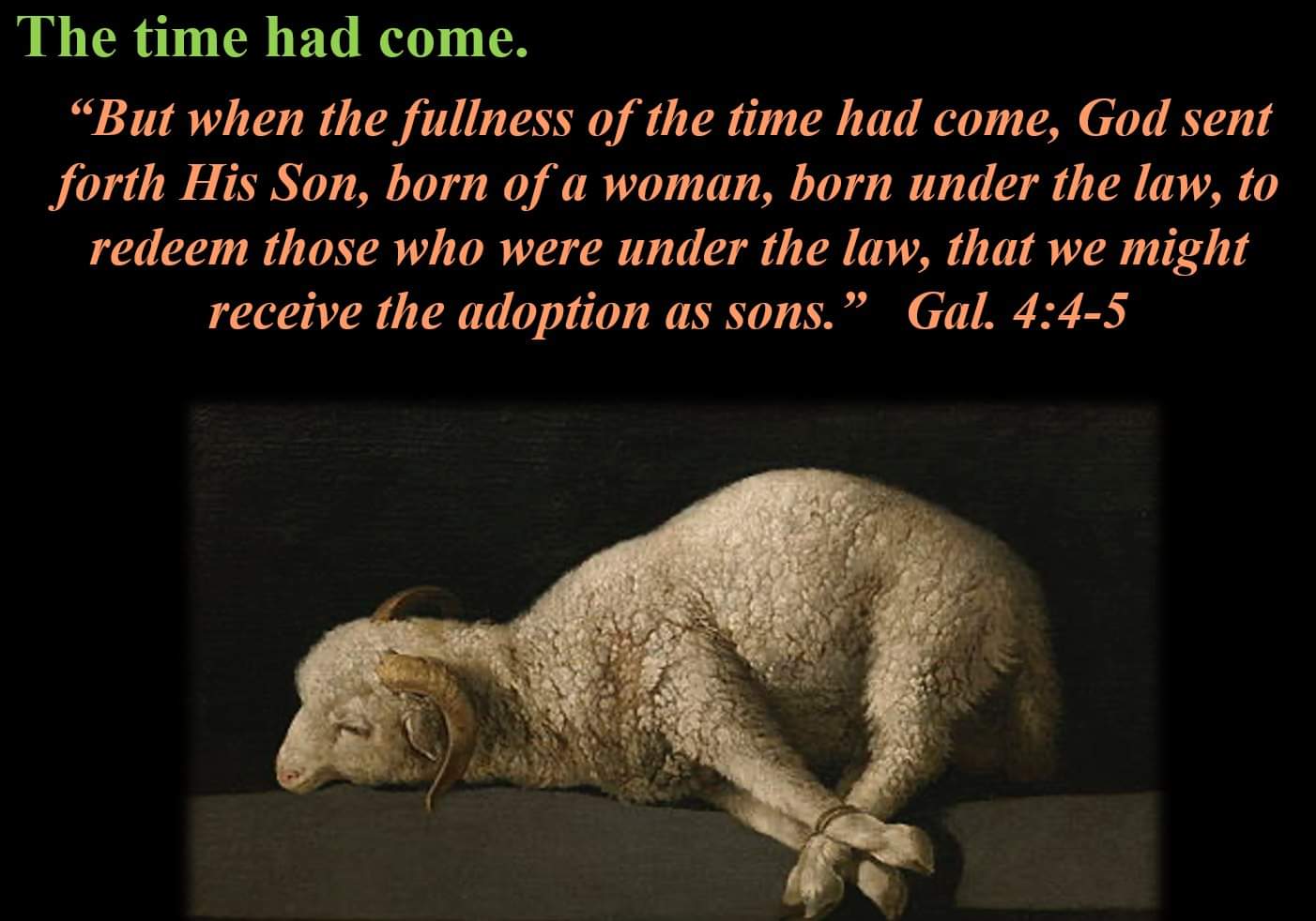 Behold, The Lamb Of God