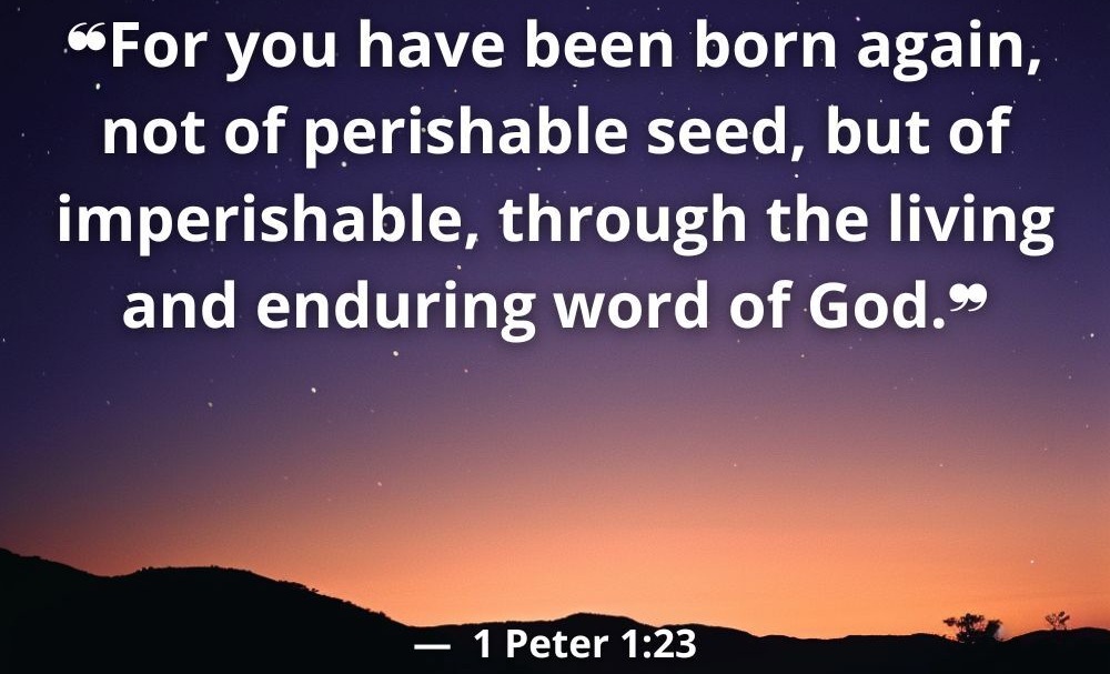 Born Again By The Word of God