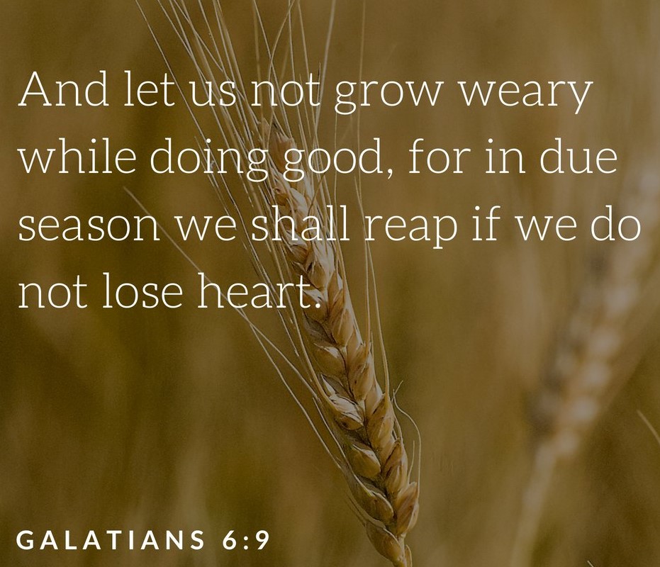 Don’t Lose Heart
