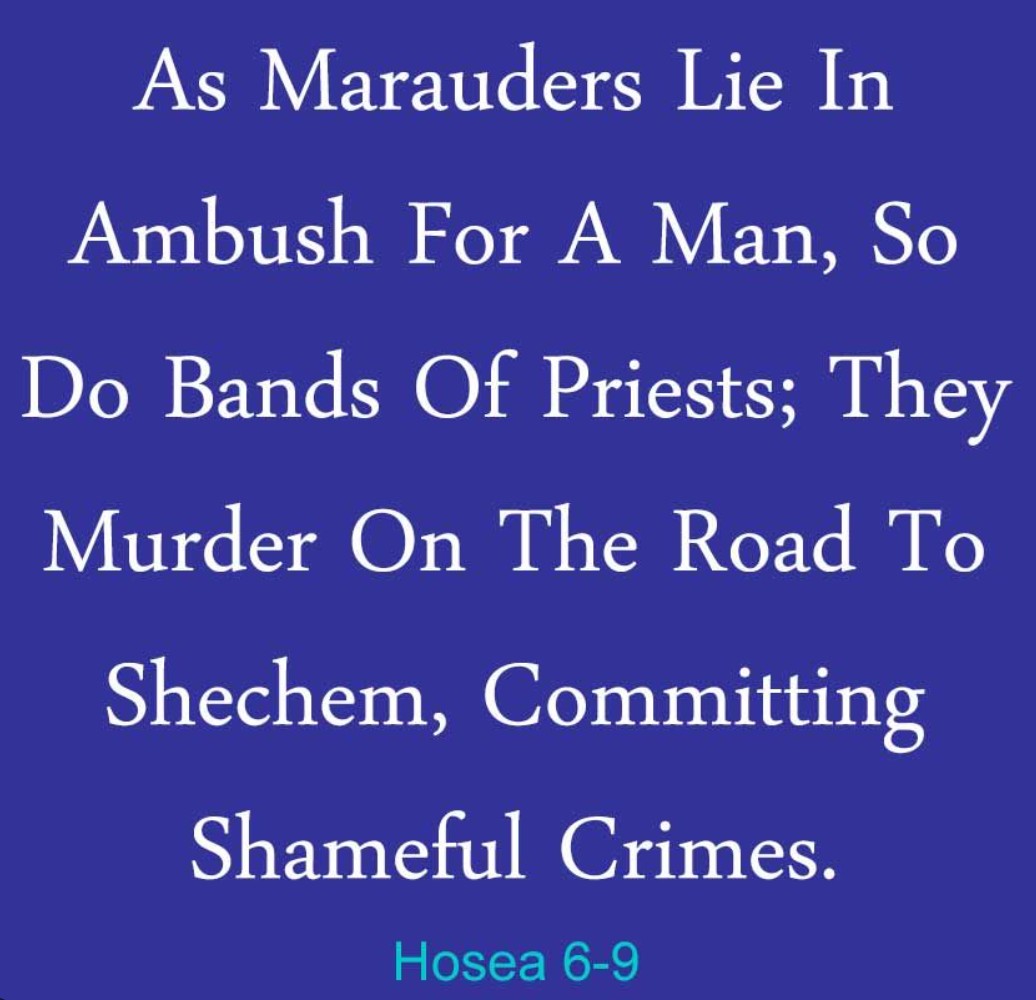 Murder on the Road to Shechum