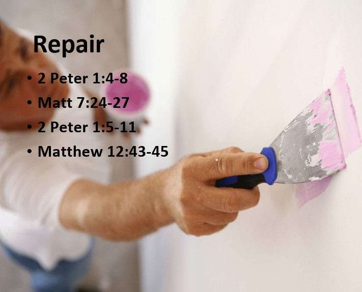 Painting Walls