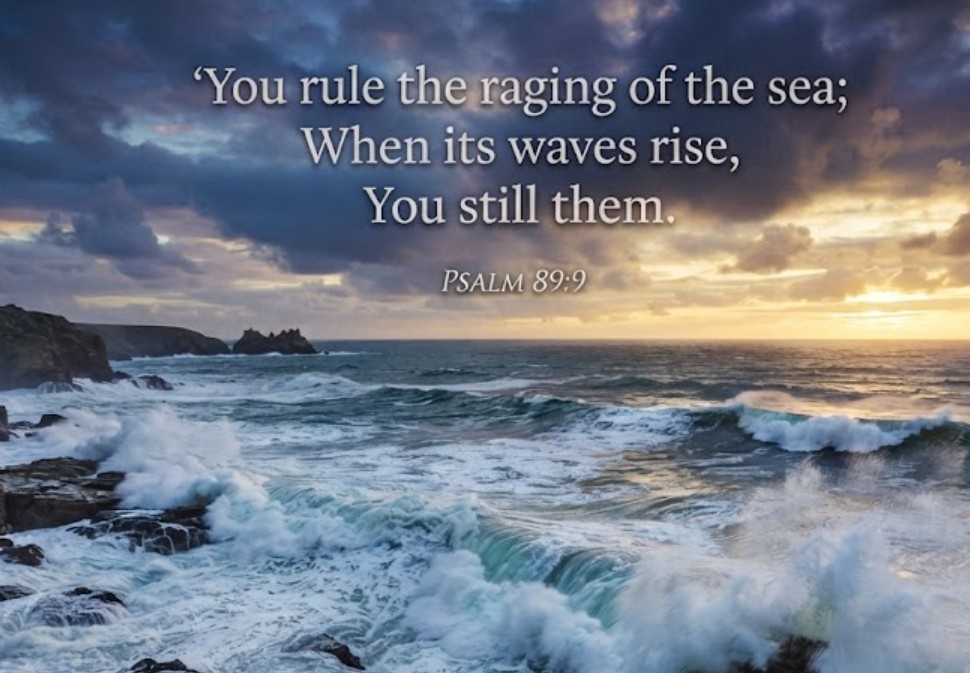 Observations From The Waters Edge