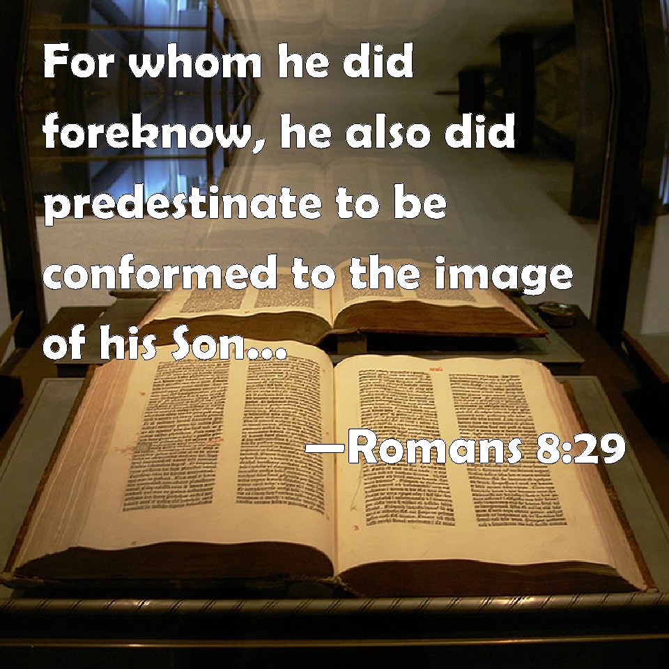 Calvinism: Unconditional Election & Limited Atonement
