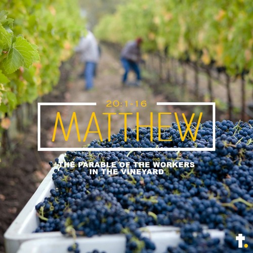 Workers In The Vineyard